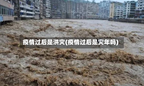 疫情过后是洪灾(疫情过后是灾年吗)