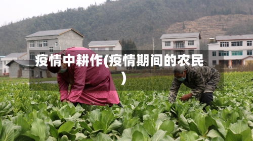 疫情中耕作(疫情期间的农民)