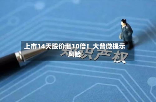 上市14天股价涨10倍！大普微提示风险