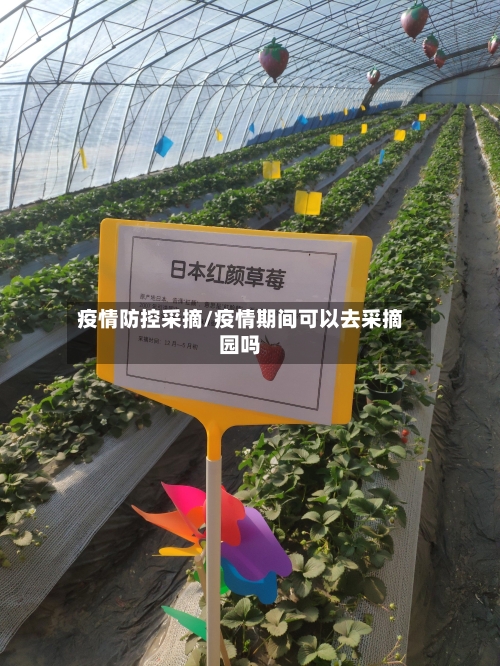 疫情防控采摘/疫情期间可以去采摘园吗