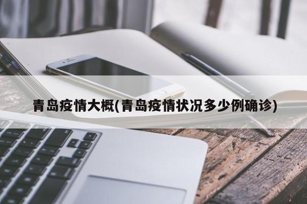 青岛疫情大概(青岛疫情状况多少例确诊)